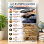 6949 Най-бързите животни на планетата табло А3, ламинирано, снимка 2