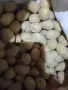 Картофи за животни., снимка 2