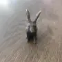 Бронзов заек малък, снимка 2