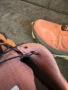 Salomon SUPERCROSS BLAST GTX W., снимка 8