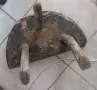 копанка, корито, нощва, стол, чутура, копанки корита нощви чутури , снимка 15