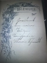 Евангелска-лутеранска библия 1895 г, снимка 4