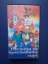 Видеокасета VHS Песента на Върбите Доналд в Света на Математиката, снимка 1