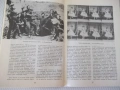 Книга "Портретна фотография - Панайот Бърнев" - 192 стр., снимка 4