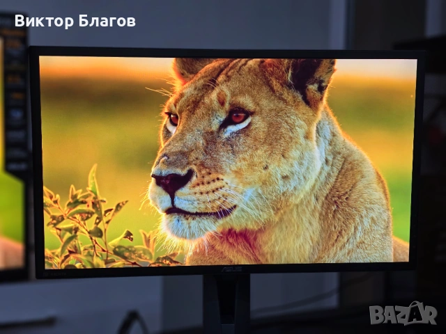 Геймърскки монитор Asus MG248QR - 24", 144 Hz , 1 ms , FreeSync, снимка 2 - Монитори - 54151748