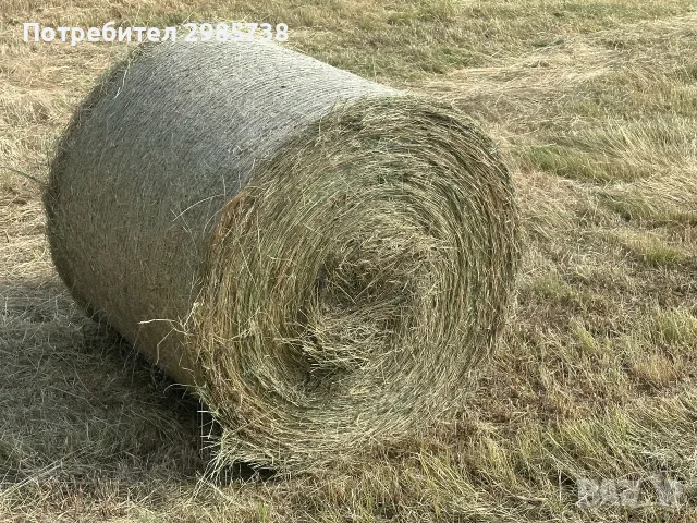 Ролонни бали сено