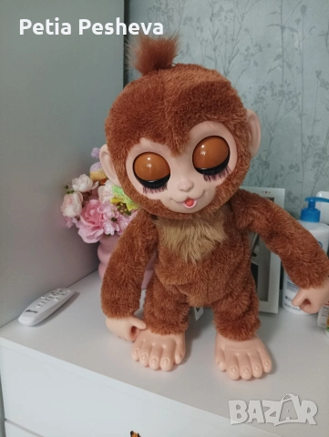 Маймунка Фъстъче, снимка 2 - Други - 54146943