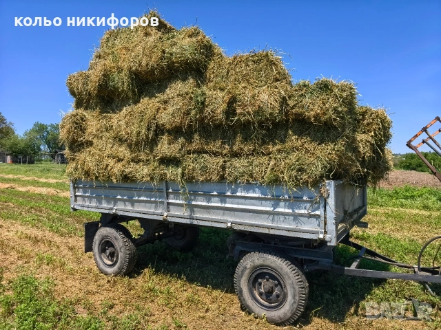 Бали люцерна , снимка 2 - Овце - 54571905