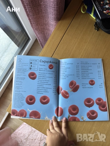 Книга "Човешкото тяло" – библиотека Знание (в. Стандарт), снимка 3 - Наука, техника и компютри - 55354099