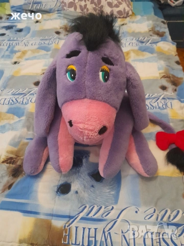 Магаренцето Йори