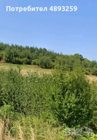 Продава се Парцел в с.Кладница, обл.Перник, снимка 5 - Парцели - 55391979