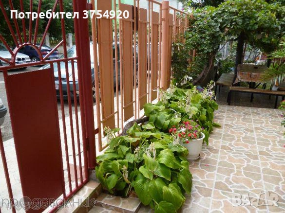 Къща за гости Дичеви, снимка 5 - Квартири, нощувки - 54854190