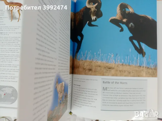 Невероятната дива природа, книга, издание на ВВС, снимка 6 - Наука, техника и компютри - 55692185