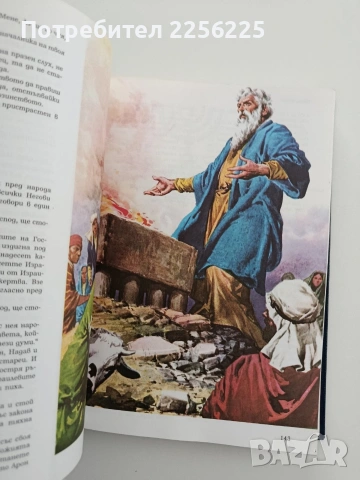 Илюстрована Библия за младежи, снимка 2 - Специализирана литература - 54534157