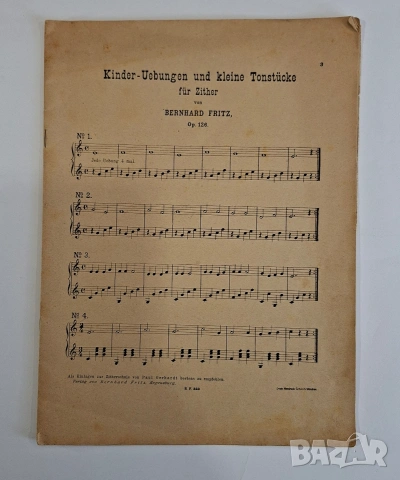 Стара баварска цитра, над 100 годишна, снимка 15 - Струнни инструменти - 53965644