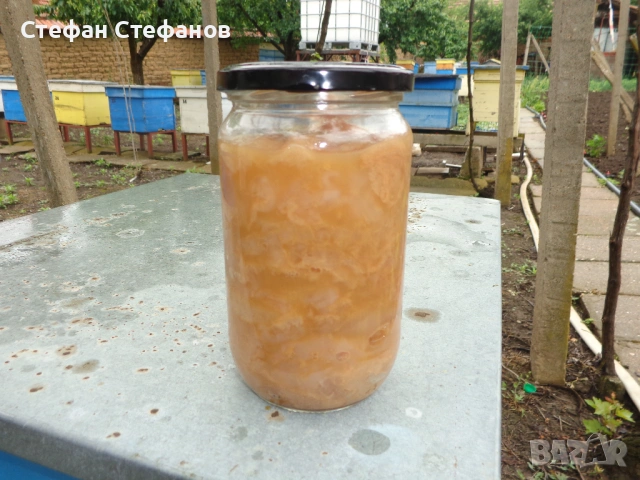 Оцетна гъба, снимка 5 - Хранителни добавки - 54645914