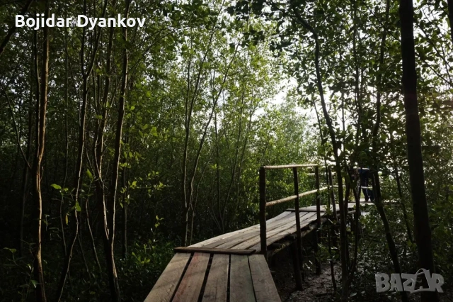 Sony a5000 Фотоапарат - Перфектен за Начинаещи КАТО НОВ! УНИКАЛНИ СНИМКИ, снимка 10 - Фотоапарати - 55179188