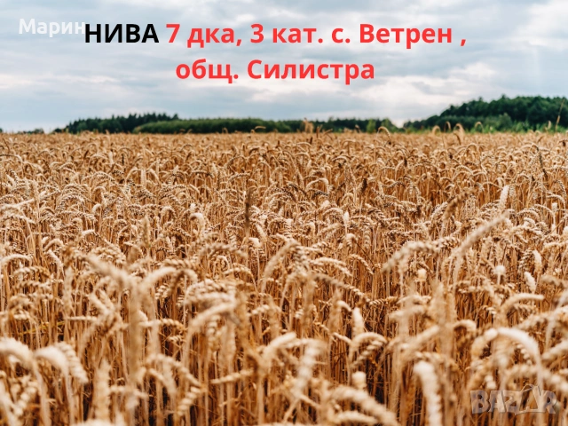 Инвестиционен имот: Земеделска земя 7 дка, 3 категория, общ. Силистра – до Дунав и Сребърна