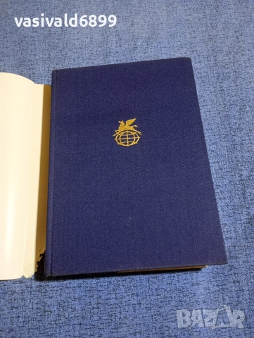 Шота Руставели - Витязът в тигрова кожа , снимка 4 - Художествена литература - 54085910