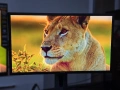 Геймърскки монитор Asus MG248QR - 24", 144 Hz , 1 ms , FreeSync, снимка 2