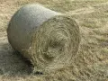 Ролонни бали сено, снимка 1