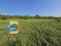 Земеделска земя в село Добрич, общ. Димитровград, снимка 2