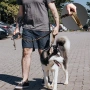 Повод за куче Tactical Bungee Dog Leash 1.5м 50кг Тактическа каишка, снимка 3