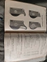 Каталог инструменти Carl Gottlob Schuster , снимка 3