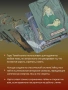 Таро Сенките на дивата гора, снимка 4