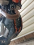 KTM SX-F 450 2021, снимка 14