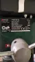 Настолна бормашина Parkside PTBM 500 E5 – 500W (гр. Пловдив), снимка 4