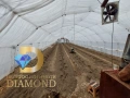 Къща с разработен бизнес в село Оризово, общ. Братя Даскалови, снимка 14