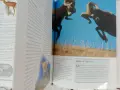 Невероятната дива природа, книга, издание на ВВС, снимка 6