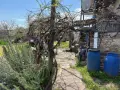Стара къща с двор с.Боровец, снимка 12