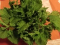 цвят Бъз, лозови листа , череши, бял равнец, снимка 9
