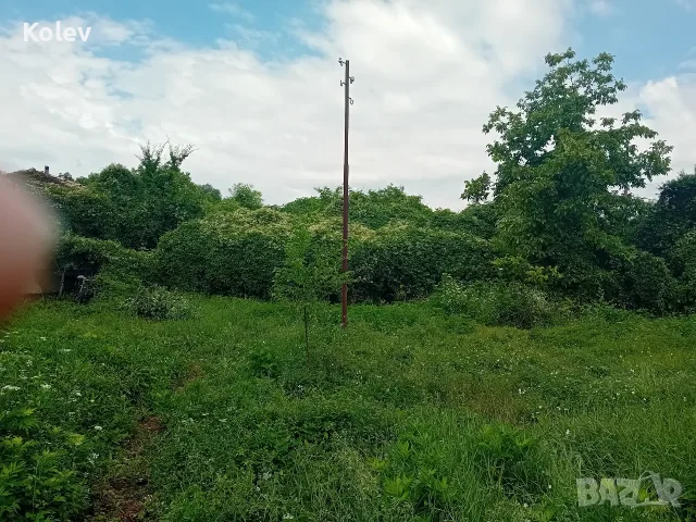 Къща с двор 2,5 декара в село Ресен, снимка 4 - Къщи - 55335764