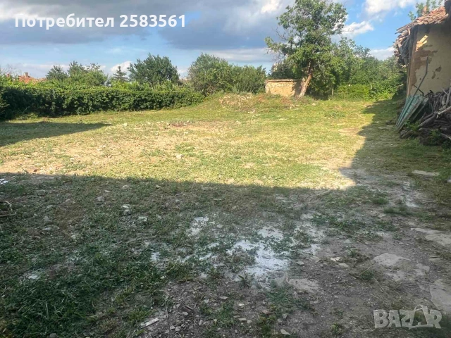 Продавам дворно място с къща, снимка 5 - Къщи - 55075813