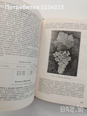 Ампелография 1976г., снимка 3 - Специализирана литература - 55420349
