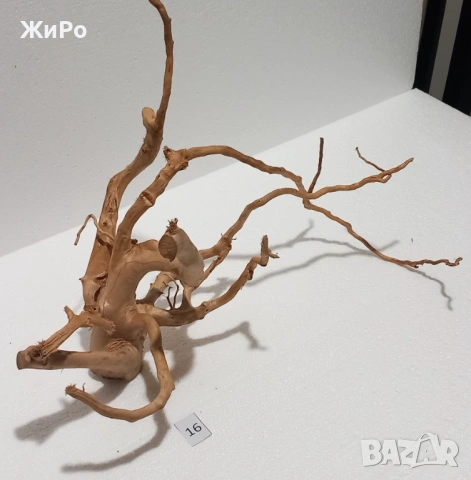 Корен от Азалия /декорация/ 16, снимка 3 - Други - 53401565