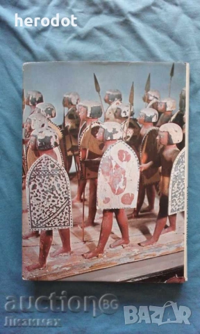Warfare in the Ancient World - Richard Humble, снимка 2 - Художествена литература - 45823547