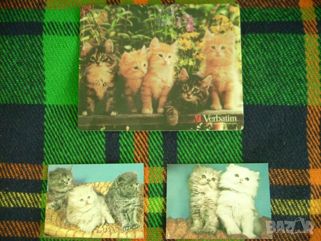 Три картички с котки