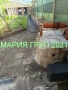 !!!ТОП ОФЕРТА!!!Продавам Къща в село Драгойново област Пловдив!!!, снимка 11