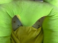 Плюшени играчки и плюшен фотьойл, снимка 6