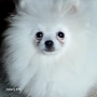 Уникално момче, снимка 2