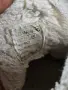 Детски зимни боти LC WAIKIKI. 24 номер (15,5см)., снимка 5
