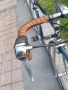 de ROSA, снимка 16