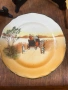 Красиви чинии Royal Doulton, снимка 6