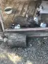 Продавам зайчета, снимка 1
