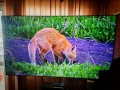 Hisense Laser TV L9G, снимка 8