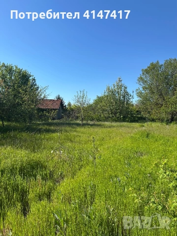Къща- с.Черковна (област Варна), снимка 2 - Къщи - 54591400